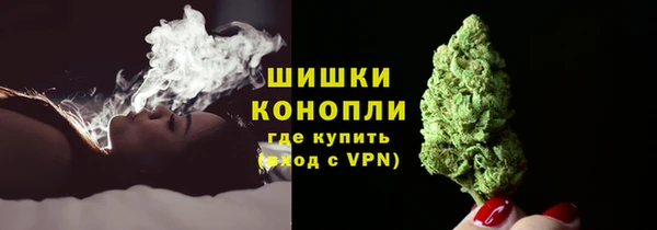 прущие грибы Горняк