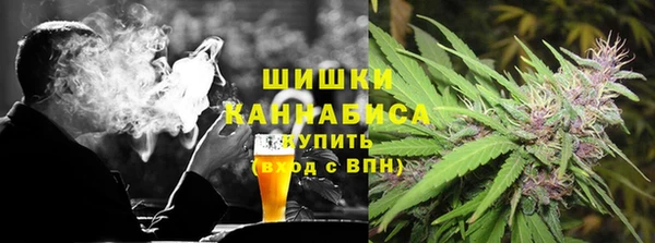 прущие грибы Горняк